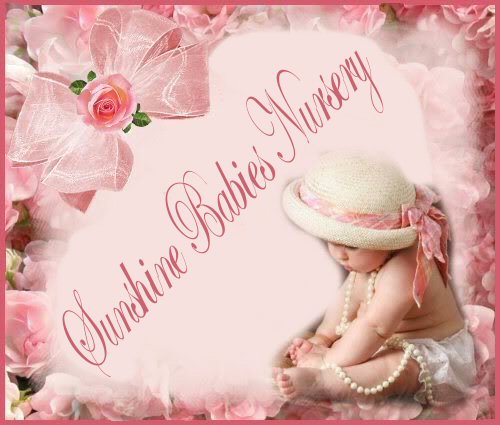 sunshinebabiesnurseryrosebudbabytem.jpg (43447 bytes)